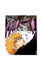Hollow Ichigo