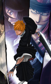Bleach12