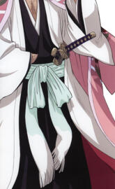 Cpt. Shunsui Kyoraku