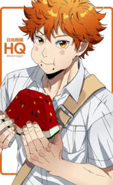 Shoyo Hinata