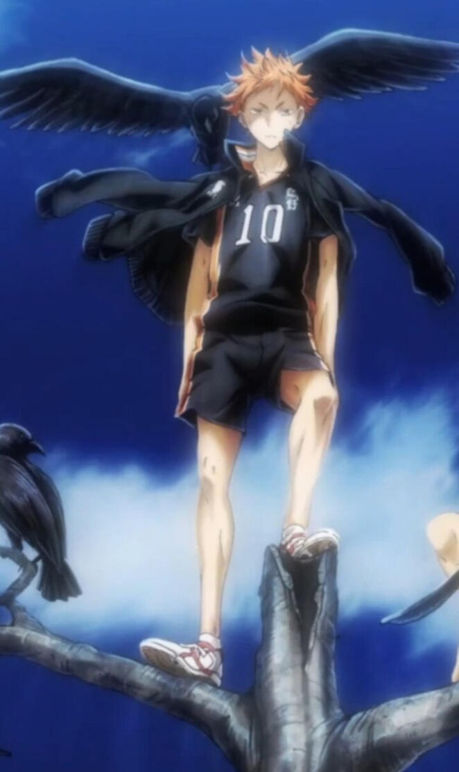 Shoyo hinata, haikyuu