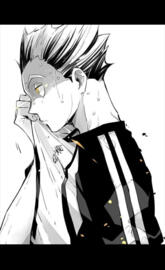 Bokuto haikyuu