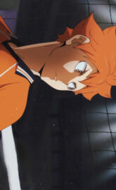 Hinata Shoyo Haikyuu