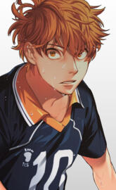 hinata shoyo FAN-ART