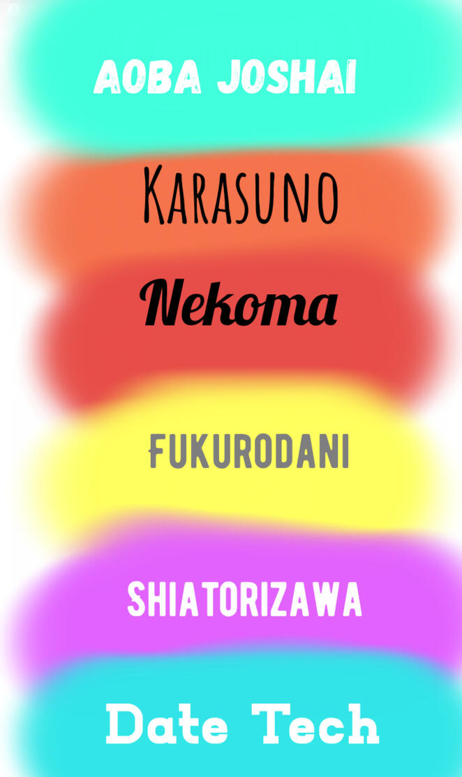 Haikyuu Team Names