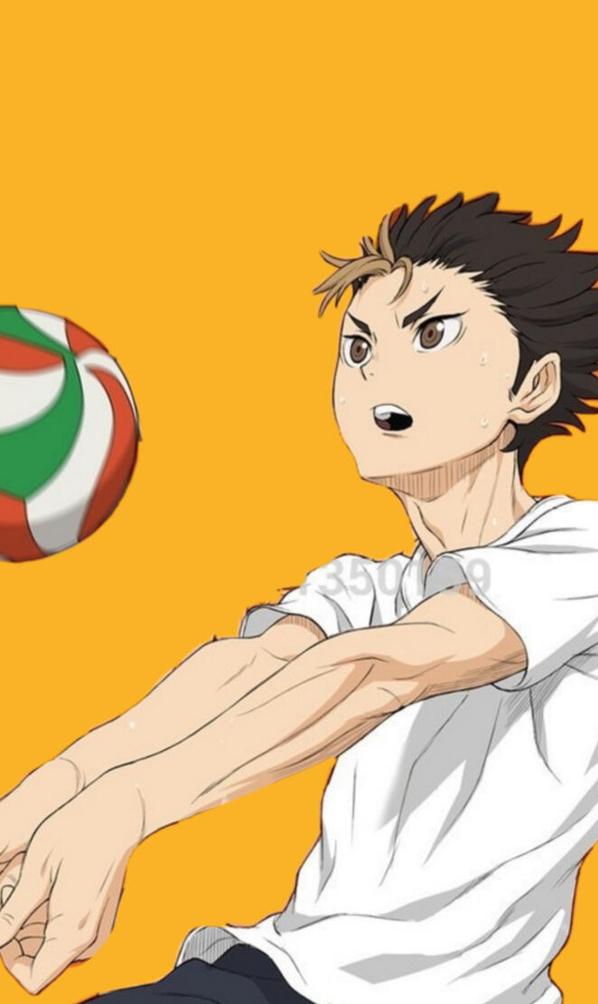 Noya-san