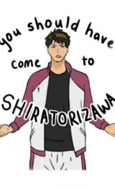 ShIrItOrIzAwA