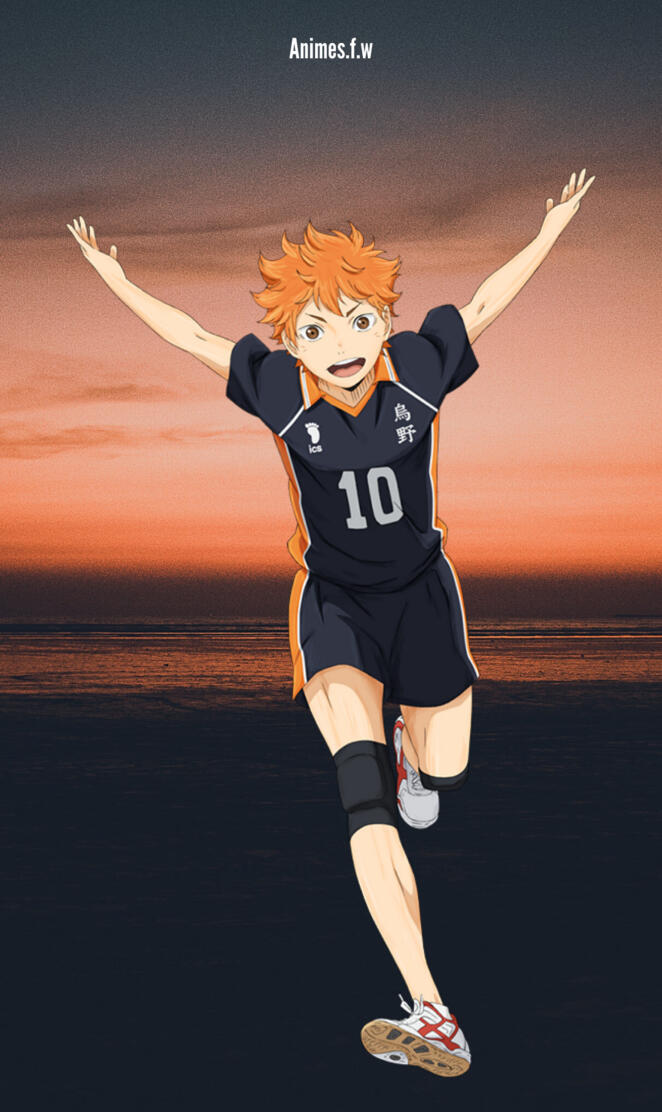 Shoyo Hinata