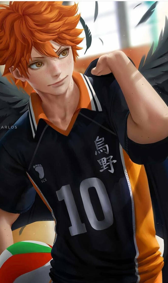 Shoyo Hinata