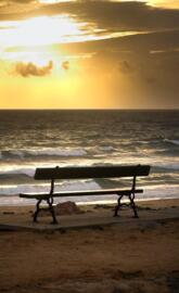 Alone-bench