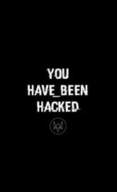 Watch Dogs