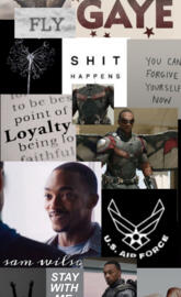 Sam Wilson THE FALCON