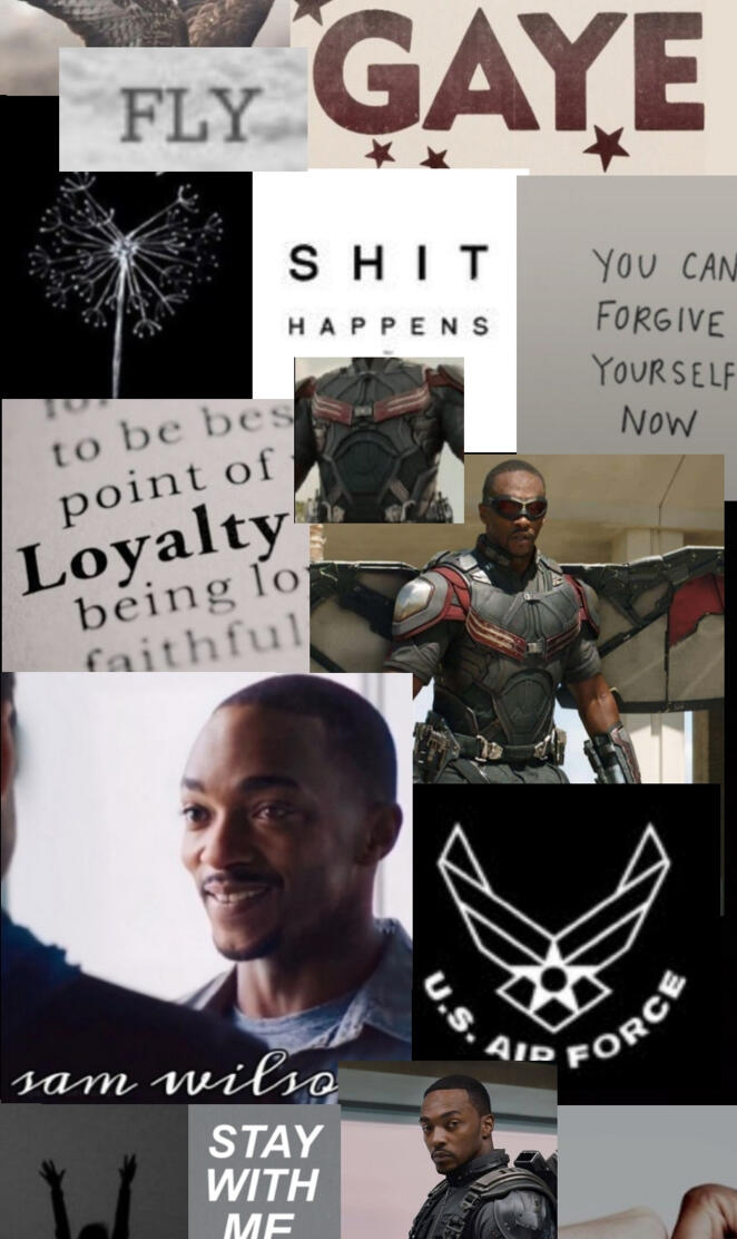 Sam Wilson THE FALCON