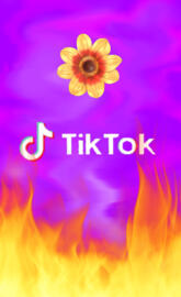 Tiktok sunfire