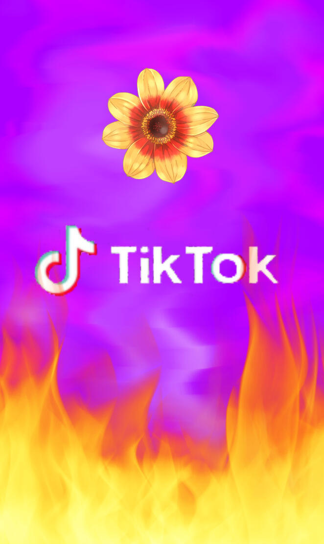 Tiktok sunfire