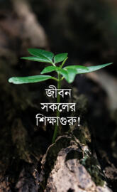 Bengali life quote