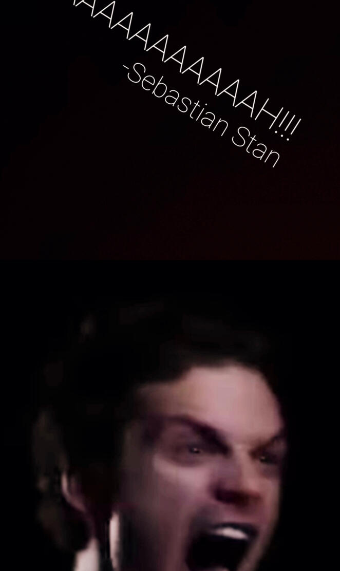 Sebastian Stan AAAAH