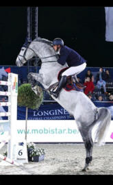 Horse jumping
