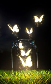 Glowing butterfly