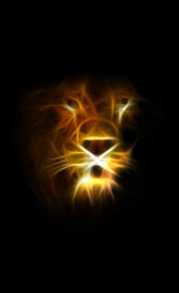 AMOLED Lion Glow