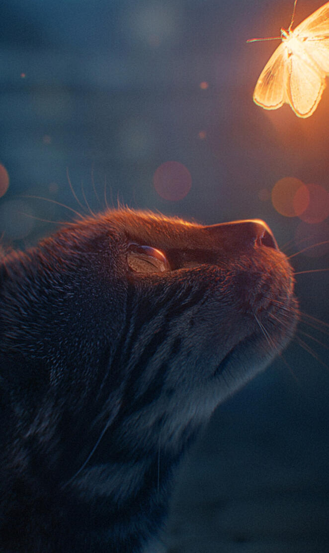 Cat and Butterfly Art