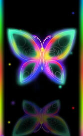 Butterfly Reflection