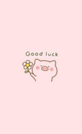 Good luck pig