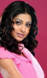 Sneha