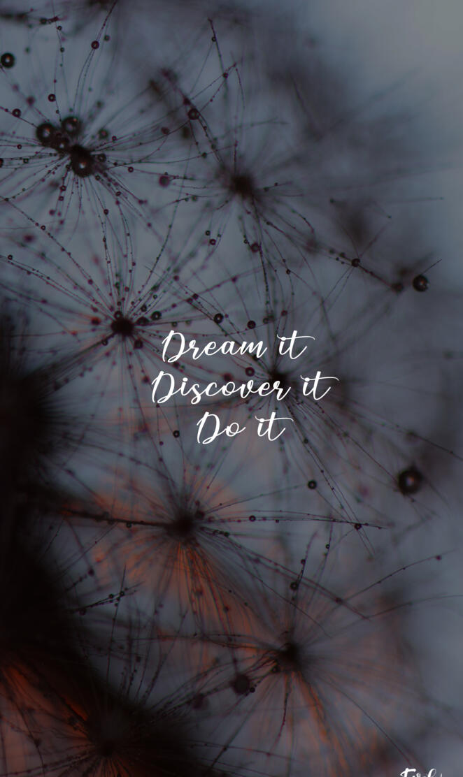 Dream and Discover