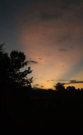 Nyeri sunsets