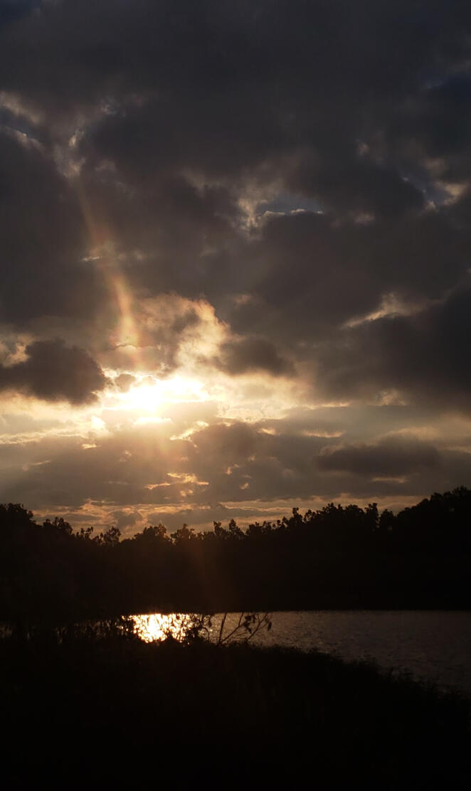 Dusk at the lake