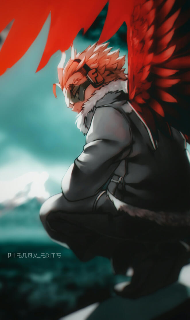 Hawks bnha