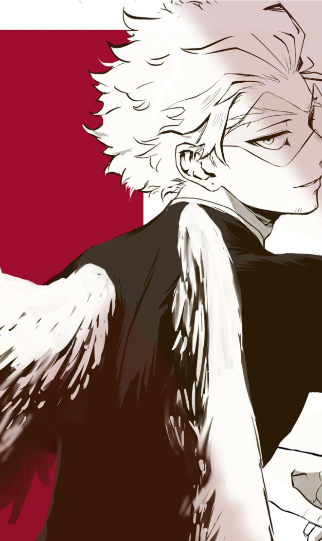 Hawks mha