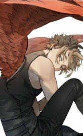 Hawks mha