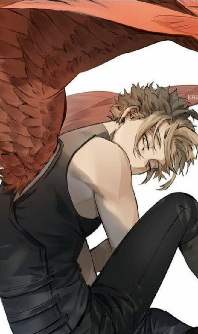 Hawks mha