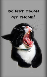 Don't Touch Phone Cat