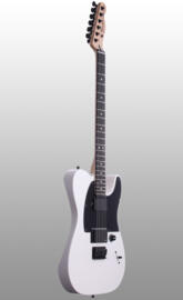 Jim Root Telecaster