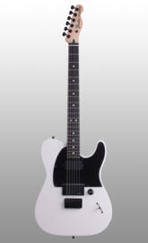 Jim root Telecaster