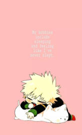 Bakugou Aesthetic lock