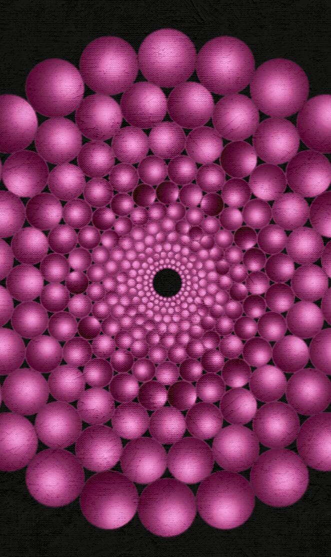 Down the Rabbit Hole