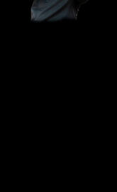 Center camera cutout