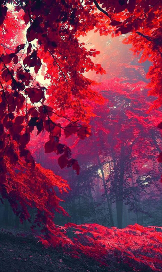 Reddish Nature