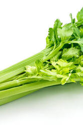 Celery
