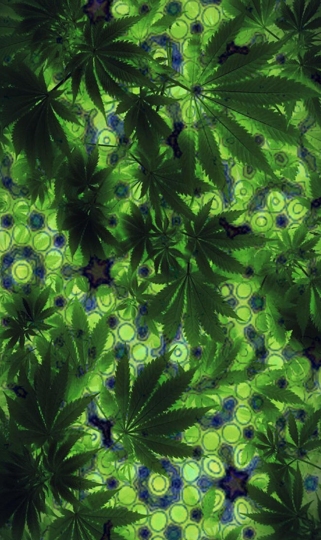 Quasicrystal Canna