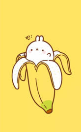 Bunny in a banana