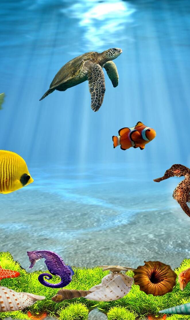 3d Underwater Life
