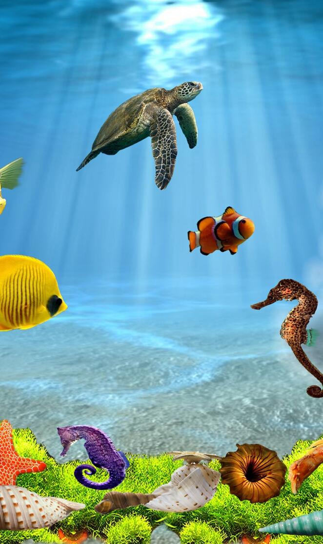 3d Underwater Life