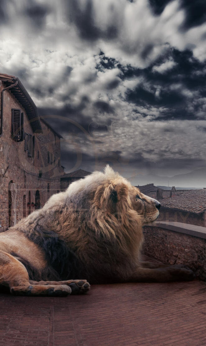 Lion on the roof