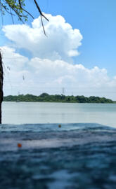 Natural Lagoon Tamps