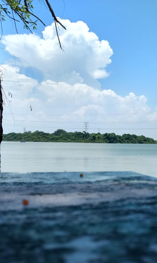 Natural Lagoon Tamps